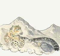 drawing of a snow leopard laying down